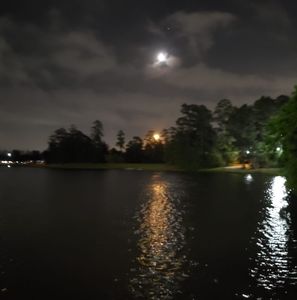 Meet your Posher, George